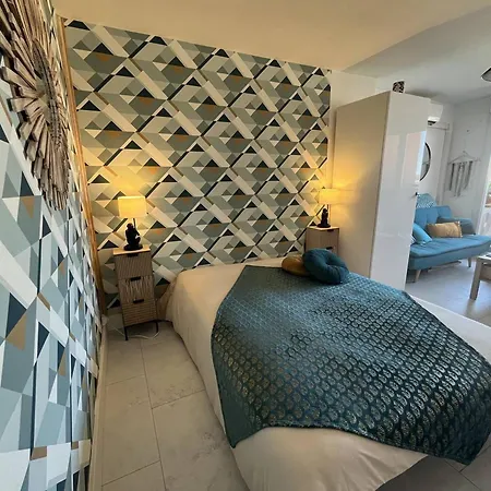 Studio Renove Avec Parking Et Climatisation Pour 2 Personnes - Fr-1-749-71 شقة